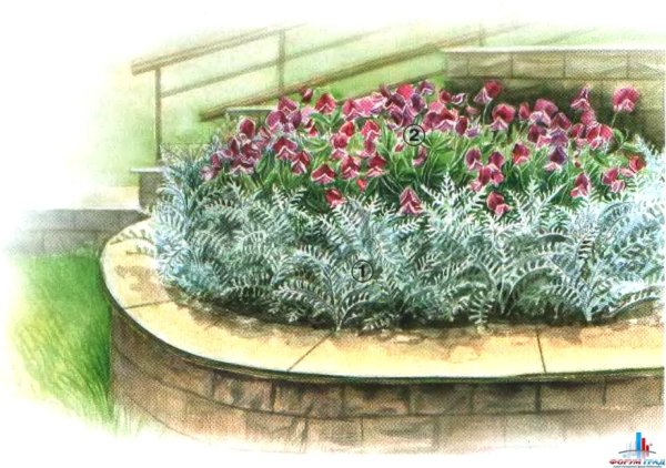 Клумбы на даче рисунки