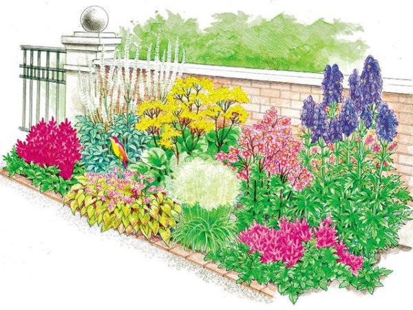 Прямоугольный цветник с многолетниками