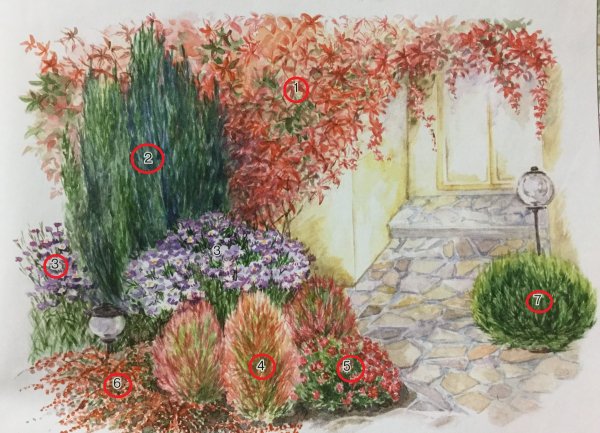 Клумба с плетущимися растениями