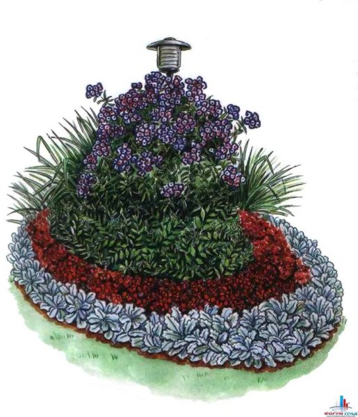 Композиции из цветов на клумбе