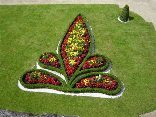 Арабеска из однолетников