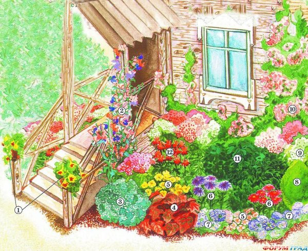 Сад иллюстрация