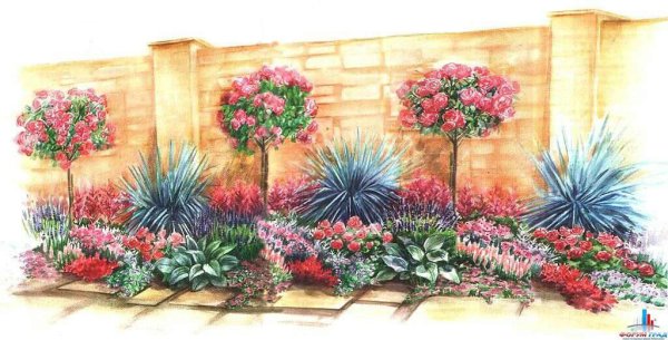 Миксбордер в средиземноморском стиле