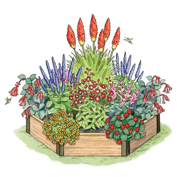 Клумба с цветами