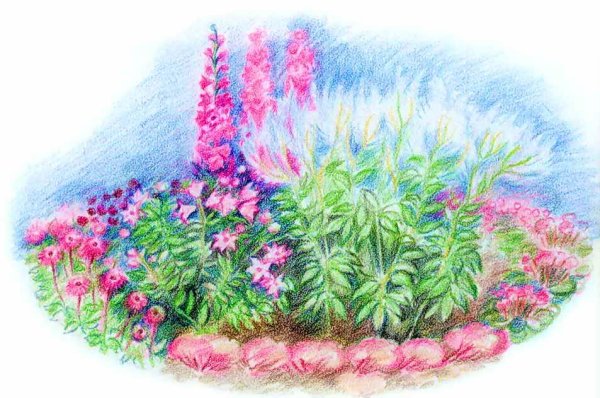 Клумба с цветами рисунок