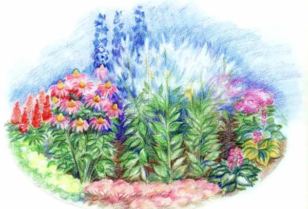 Рисование цветы на клумбе