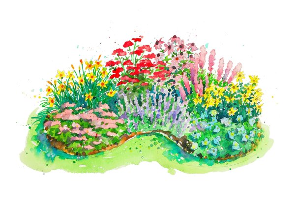 Картина клумба с цветами