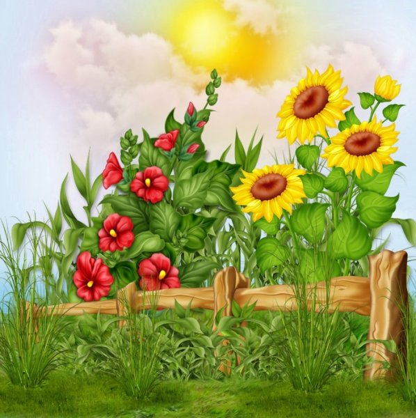 Клумба с цветами на прозрачном фоне