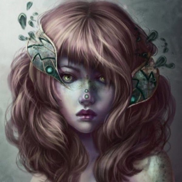 Дженнифер Хили (Jennifer Healy)