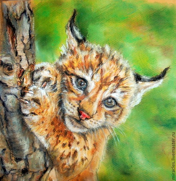 Рысь цветными карандашами