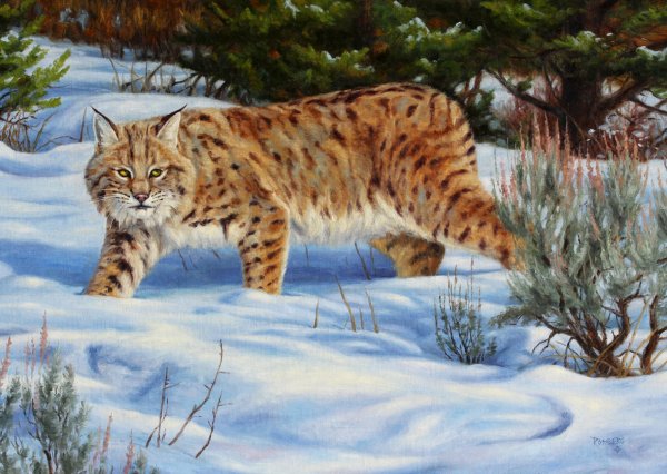 Рысь акварель