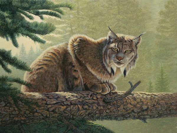 Рысь живопись