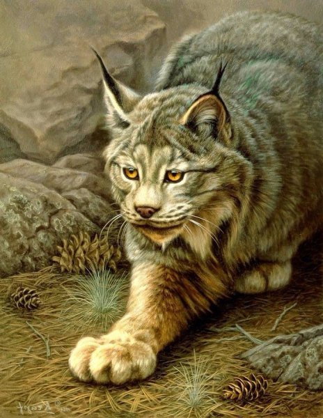 Художник Paul Krapf.