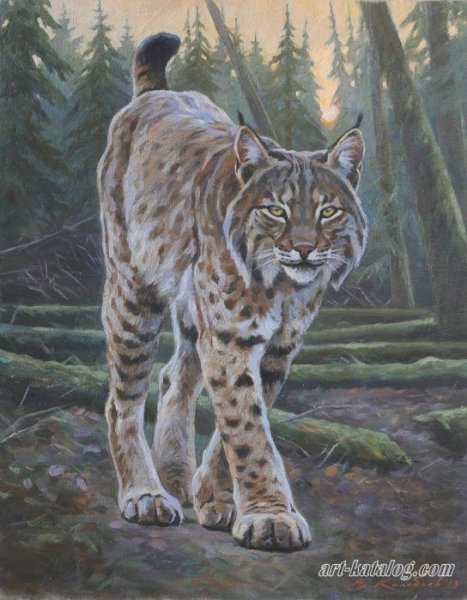 Рысь в тайге живопись