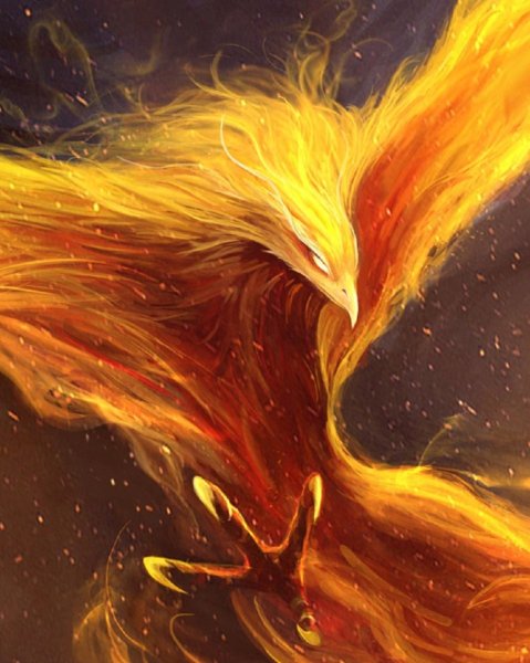 Феникс птенец