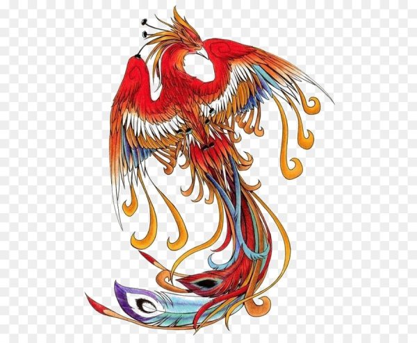 Птица Феникс(Симур)