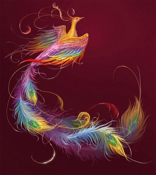 Феникс Павлин