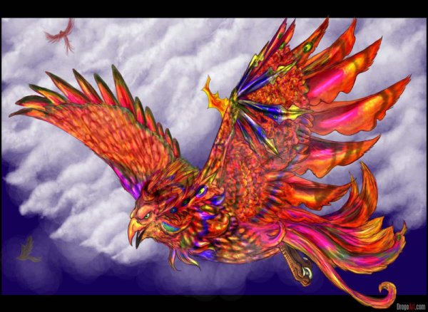 Жар птица арт