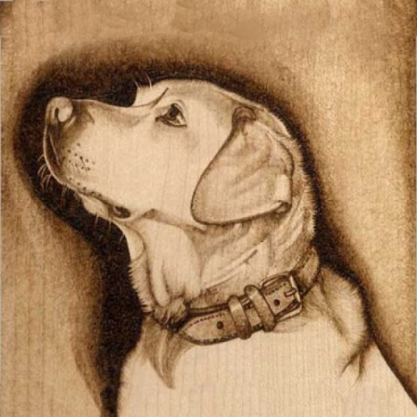 Картины для выжигания по дереву