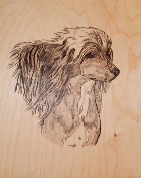 Красивые картины для выжигания по дереву