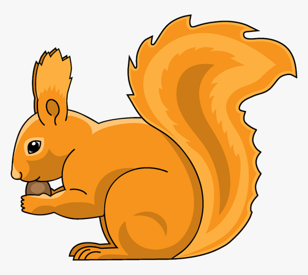 Белочка рисунок для детей