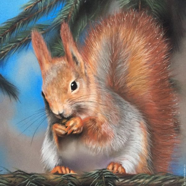 Белки в живописи