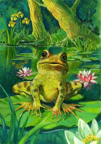 Алмазная вышивка лягушки