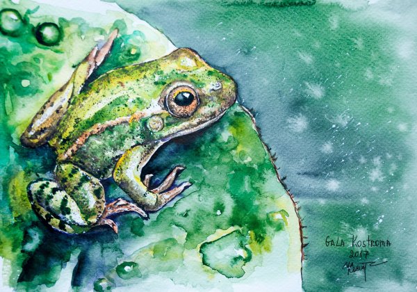 Лягушка гуашью