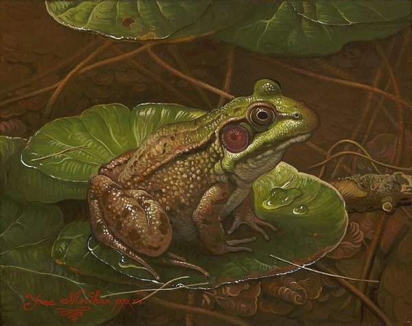 Жаба живопись