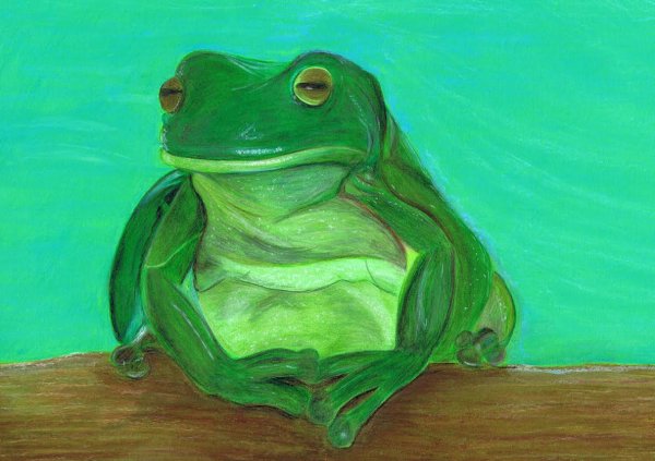 Лягушка в Paint