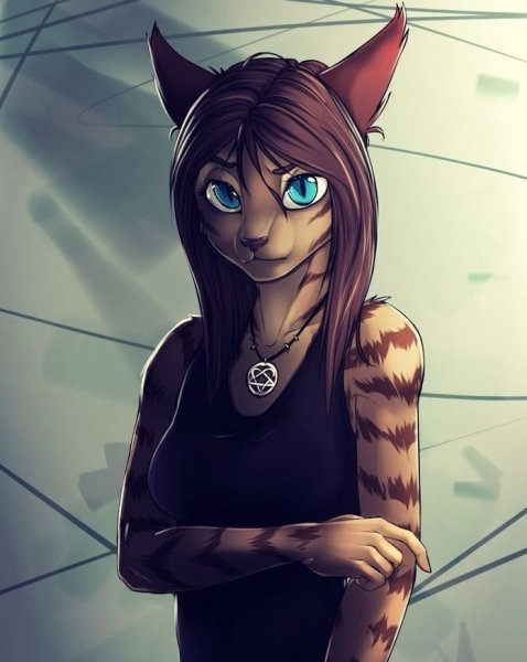 Рэйчел фури