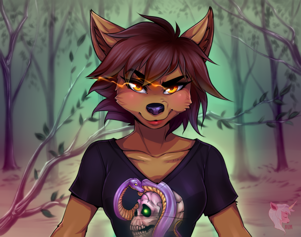 Фурри Аселла