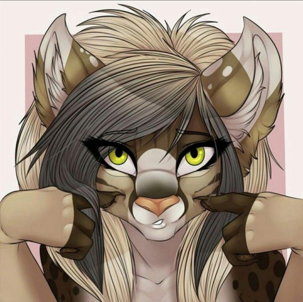 Фурри Соня 3