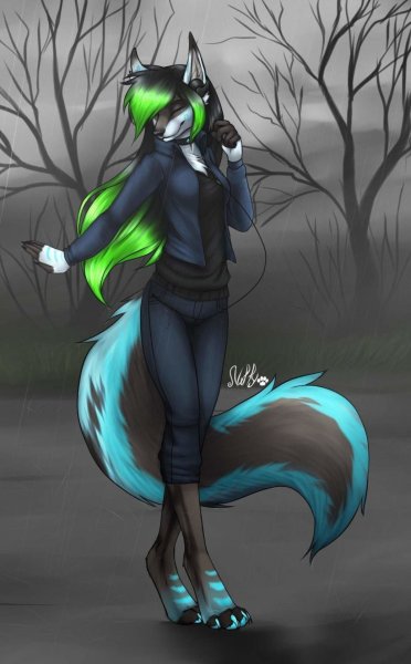 Фурри Калипсо