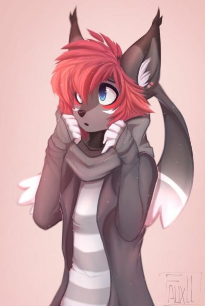 Фурри персы