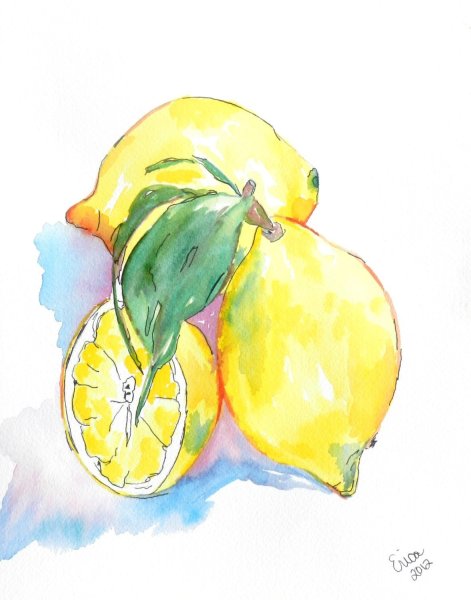 Фрукты акварелью
