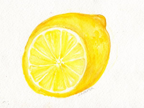 Лимон зарисовка