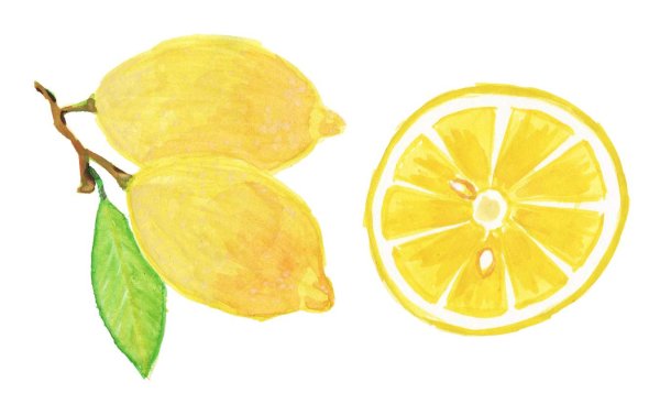 Лимон coreldraw