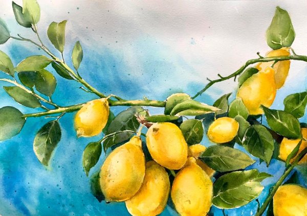 Ветка лимона