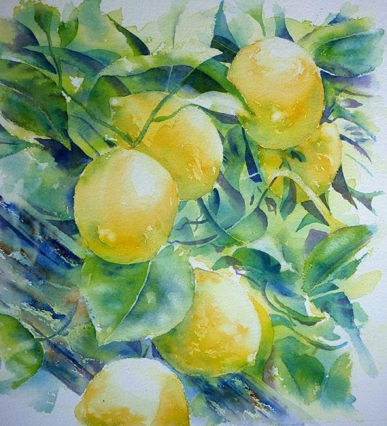 Клод Моне ветка лимона