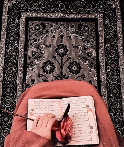 Мусульманка и Коран