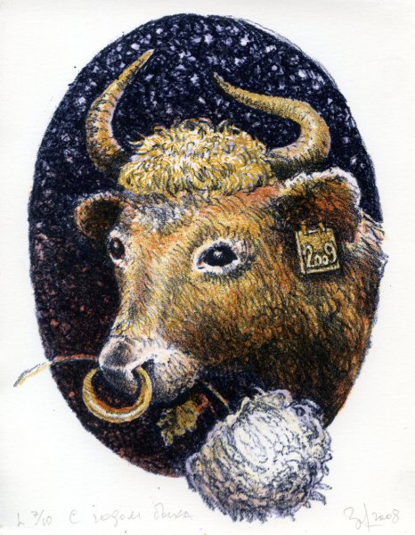 Новый год быка