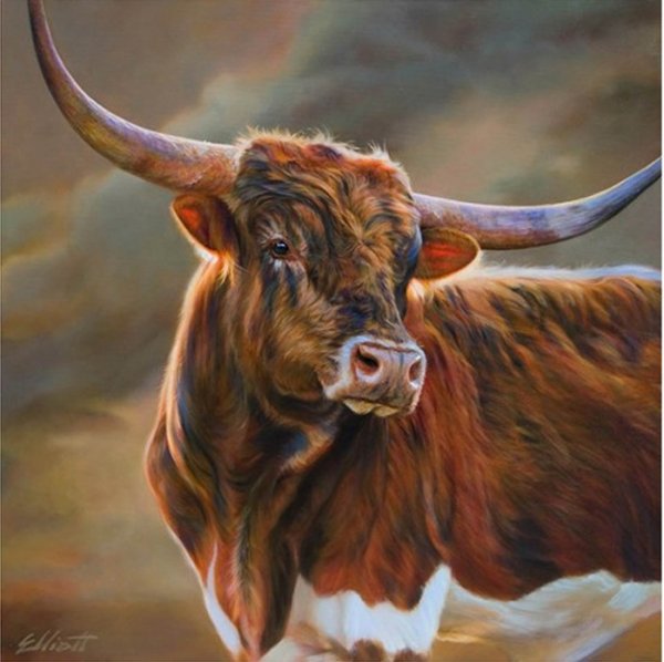 Тереза Эллиотт бык