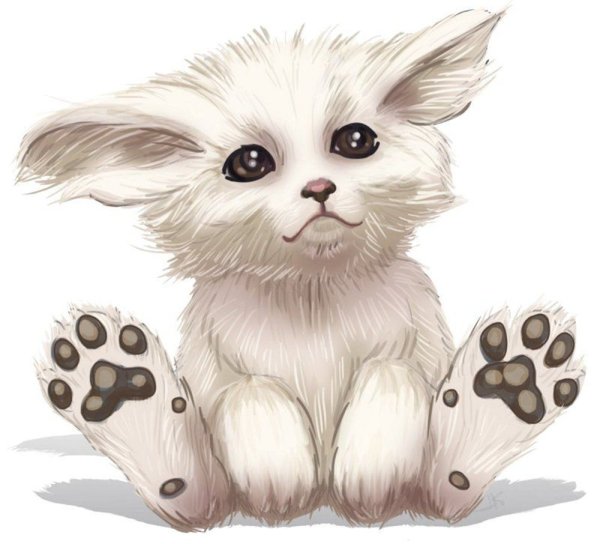 Милые зверюшки иллюстрации