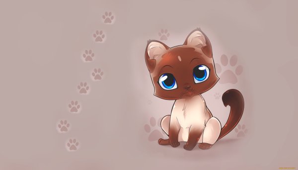 Котики мультяшные