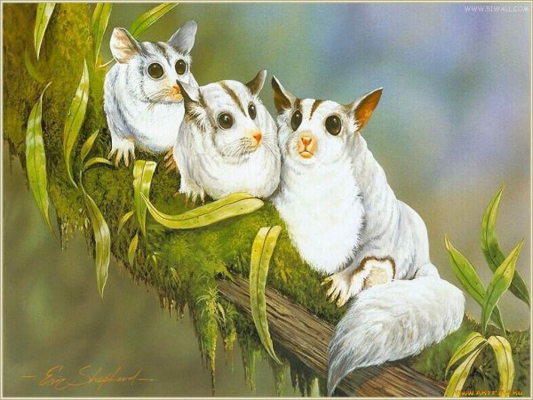 Рисунки животных