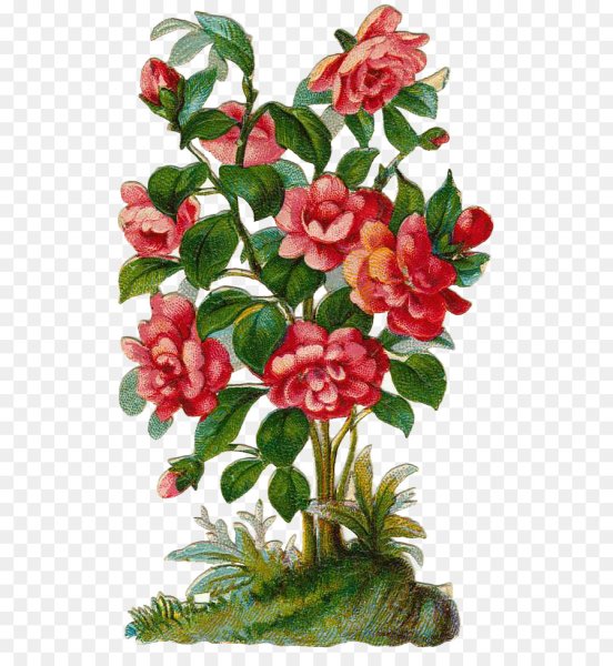 Нарисовать куст с цветами