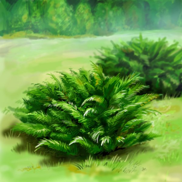 Кусты для рисования