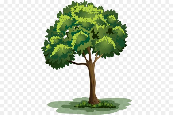 Деревья кусты