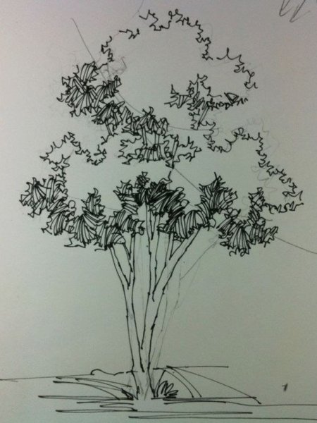 Кустарники в графике